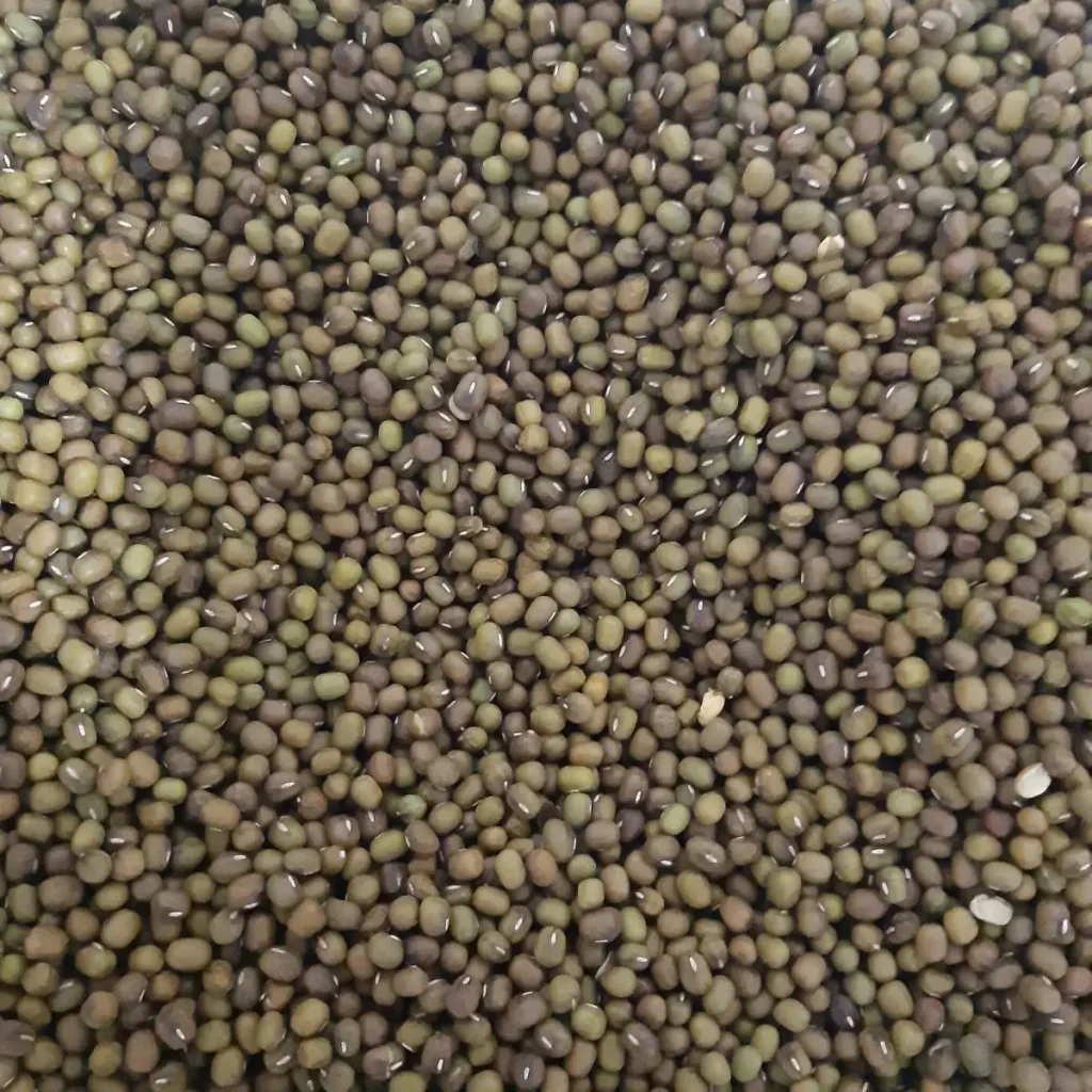 Mungo pasulj hrana za golubove i ptice