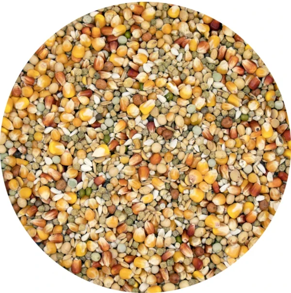 SUPERSTAR PLUS 20 kg 1